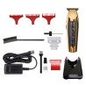 Gold Cordless Detailer LI